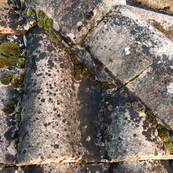 DJI 20250219180914 0091 D